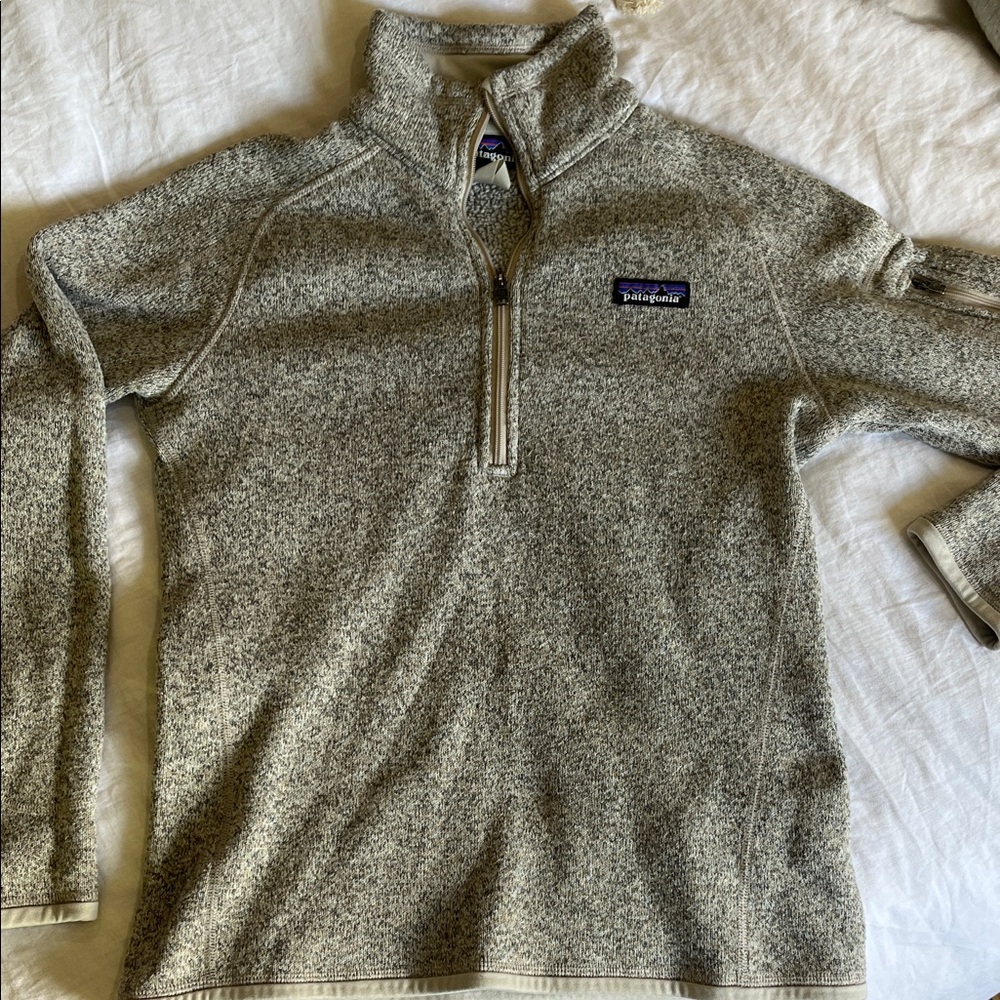 Patagonia Men's Zip-Up Sweater in Gray